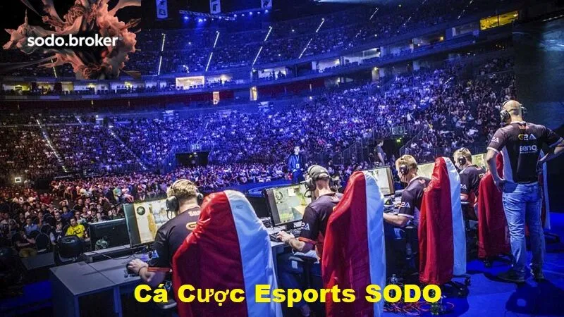 Cá cược Esports sodo hút người chơi đam mê công nghệ và thể thao điện tử.