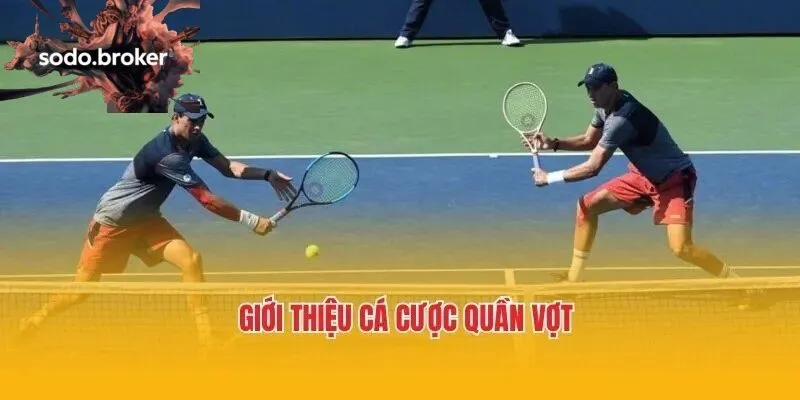 Cá cược quần vợt sodo đem lại cơ hội trải nghiệm an toàn và hấp dẫn