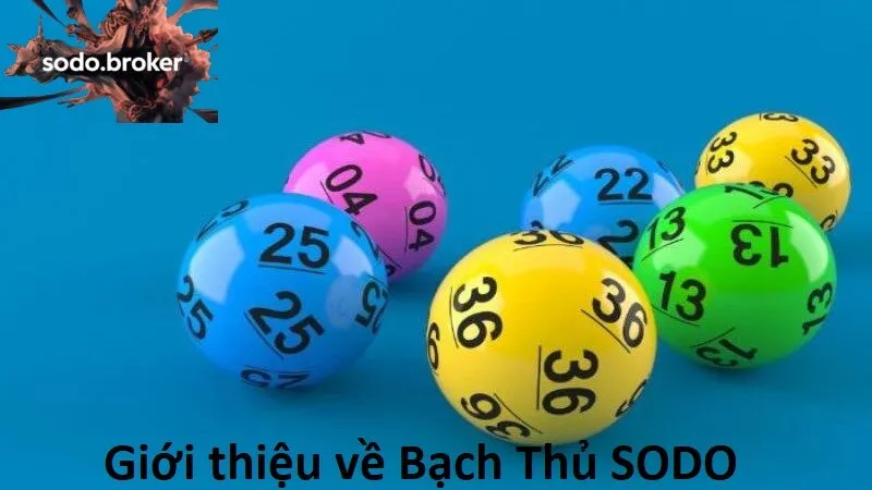 Giới thiệu về bạch thủ sodo