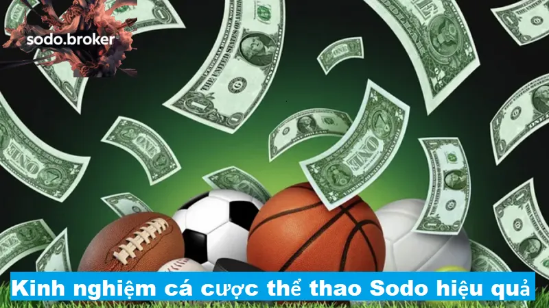 Kinh nghiệm chơi cá thể thao sodo hiệu quả