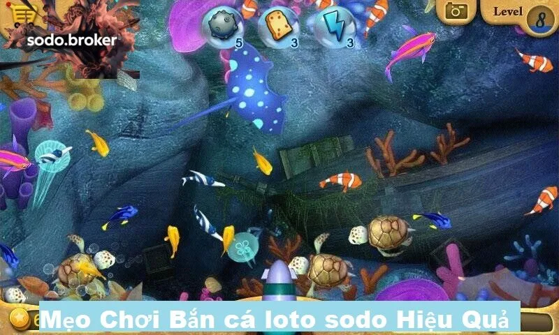 Nắm rõ mẹo chơi giúp bạn nâng cao tỷ lệ thắng khi chơi Bắn cá loto sodo