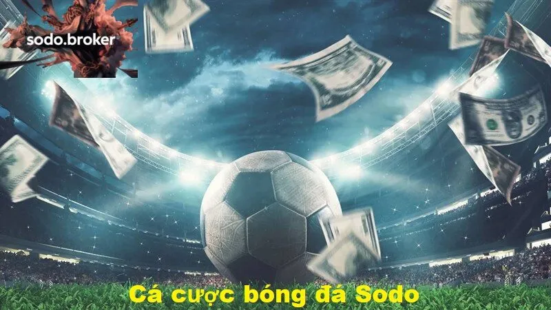 Trải nghiệm đỉnh cao Cá cược bóng đá Sodo